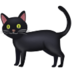 :black-cat: