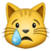 :crying-cat: