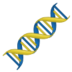 :dna: