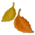 :fallen-leaf: