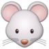 :mouse-face: