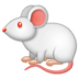 Mouse :mouse:
