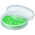 :petri-dish: