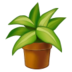 :potted-plant: