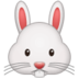 :rabbit-face: