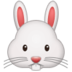 Rabbit Face :rabbit-face: