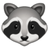 :raccoon: