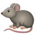 :rat: