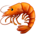 :shrimp: