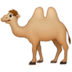 :two-hump-camel: