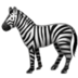 :zebra: