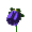 (fleur-1)