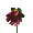(fleur-3)